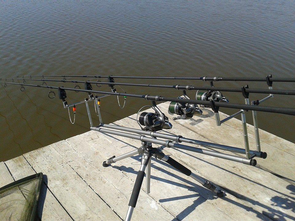 2014-2015 album 3 - 154099310692302592301583125387884953348n.jpg